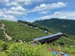 -长沙黑麋峰国家森林公园