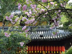 -龙华寺