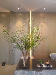 -VELEE·SPA高定疗愈会所