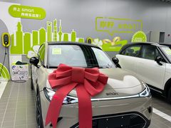 -上海浦东smart汽车全功能店(金桥店)
