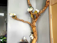 -顶顶香(金花南路店)