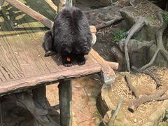 -长鹿旅游休博园