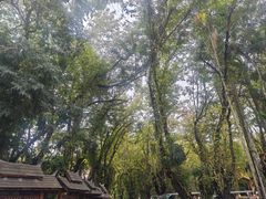 -曼听御花园