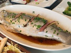 招牌清蒸钱塘江白条-柳莺湖上·湖景餐厅·江南菜(西湖店)