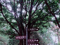 -灵谷景区