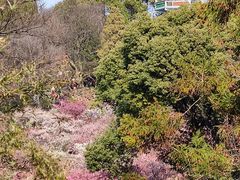 -无锡梅园公园