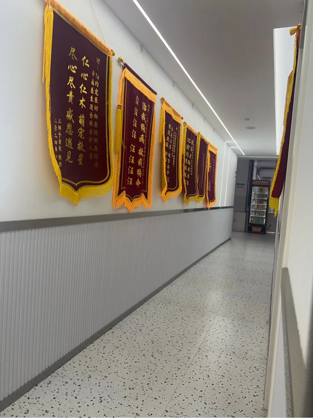 包含北京市肛肠医院全天陪诊含挂号初次就诊全程引导，流程不再生疏的词条