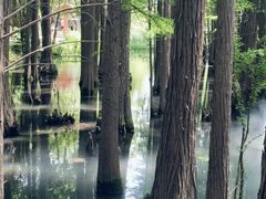 -东湖落雁景区