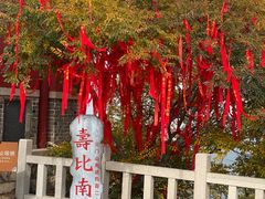 -青州市云门山风景区