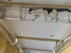 -萤火虫咖啡(后海店)