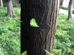 -幕燕滨江·燕子矶公园
