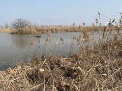 -盐城丹顶鹤湿地生态旅游区