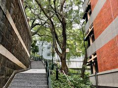 -香港大学