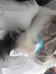 -肥三针腧穴瘦身馆
