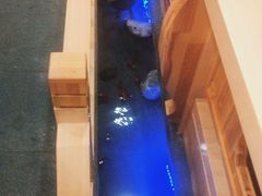 -九田家黑牛烤肉料理(衡百国际店)