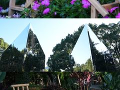 -南山植物园