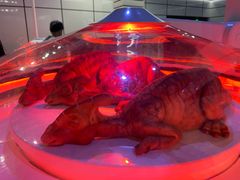 -侏罗纪世界电影特展(广州站)