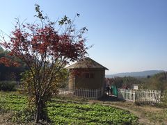 -塔川景区