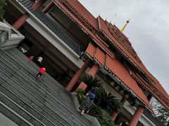 -大屏嶂森林公园