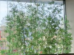 -新紫霞养生·影院足道·SPA(金山区店)