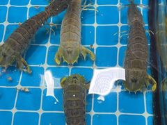 -醉壹号海鲜大排档·老厦门特色菜(厦门美食地标店)