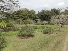 -中国科学院西双版纳热带植物园