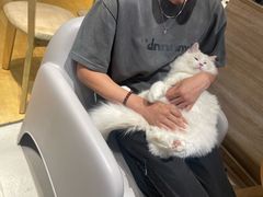 -藏猫猫咖啡主题馆(中央大道店)