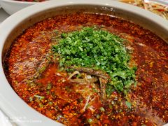 -沸腾鱼乡(知春路分店)