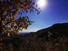 -北京西山国家森林公园