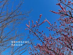 -东湖生态旅游风景区
