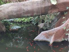 -北京植物园-展览温室