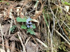 -青峰峡国家森林公园