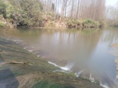 -桤木河湿地公园