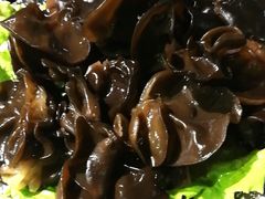 木耳-山下火锅(旅顺店)
