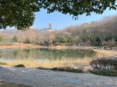 -牛首山文化旅游区