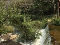 -招虎山国家森林公园-售票处