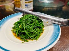 沙漠野沙葱-蒙古大营(朝阳公园店)