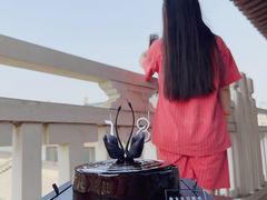 -BLACKSWAN黑天鹅(环球店)