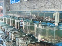 -仙螺岛海鲜自助餐厅(总店)