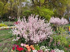 -上海共青森林公园