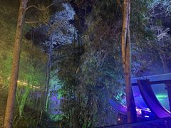 -花水湾第一村温泉大酒店