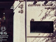 -喵屿·大理花园猫咖