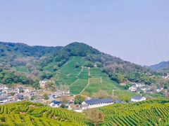 -野蔓果·山野菜(西湖景区·龙井茶田店)