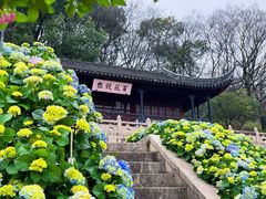 -苏州上方山国家森林公园