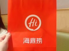 -海底捞火锅(铂澜大象城店)
