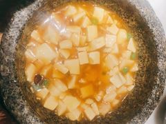 石锅鸡汤豆腐-绿茶餐厅(二七万达店)