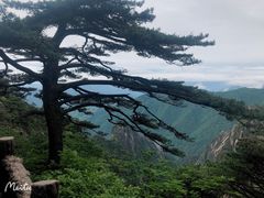 -黄山风景区