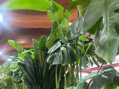 -云海肴汽锅鸡·云南小炒(曲江大悦城店)