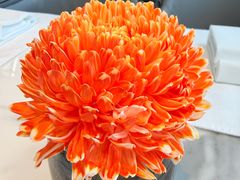 -傲廬·云端餐厅·深圳柏悦酒店