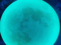 -天津梵高星空艺术馆(天河城旗舰店)